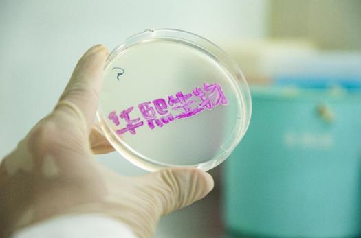 推動(dòng)綠色發(fā)展 華熙生物以生物科技引領(lǐng)生產(chǎn)革命