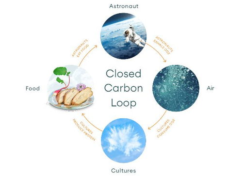 空氣造肉 生物技術顛覆食品科技，人類飲食革命或將開啟