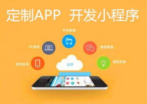 企業(yè)軟件開發(fā) epp 定制小程序公眾號app在線管理軟件開