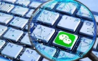 模板小程序和定制小程序有啥區別